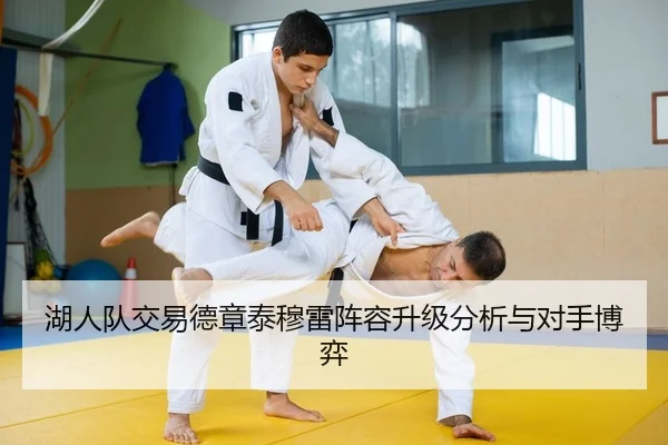 湖人队交易德章泰穆雷阵容升级分析与对手博弈