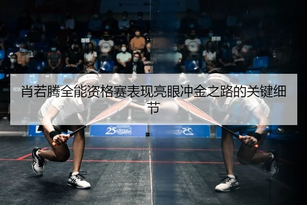 xiao-ruo-teng-quan-neng-zi-ge-sai-biao-xian-liang-yan-chong-jin-zhi-lu-de-guan-jian-xi-jie-2-886.jpg